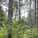 송원다방 이미지