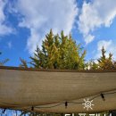 숲속펜션 이미지