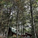 성주산자연휴양림 이미지