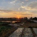 부안 안심소 이미지