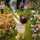 비둘기밧데리 | 23개월 아기와 17주차 임산부의 주말 에버랜드 후기｜타임라인, 준비 &amp; 꿀팁 총정리