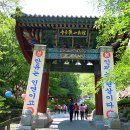 김유선생 신도비 이미지