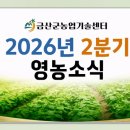 금산