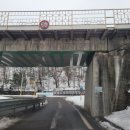 꿈벌사슴목장 이미지