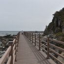 섬바다향기 이미지