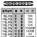 소래포구 배들어오는 시간표(음력 날짜 기준) 이미지