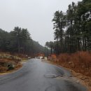 축령산아침 이미지