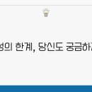 이성 티스토리