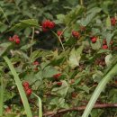 자연슈퍼 이미지