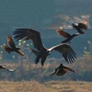 김해 화포천습지 생태학습관 이미지