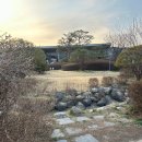 코코애견 | 덕평휴게소 애견놀이터 🐶 달려라코코 운영종료 후 무료 펫파크 후기