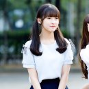 아린 스타저널
