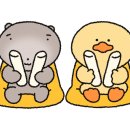 선산시장 화장실 이미지