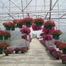 외암민속박물관 이미지