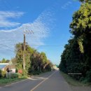 신양리입구 이미지