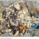 (주)거북 이미지