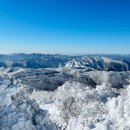 서산서부산악회 제427차 함백산 눈꽃 송년산행(2024.12.01) 이미지