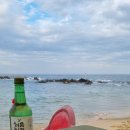 해물포차바다이야기 이미지