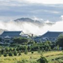 생활댄스(강좌번호 : 17 ) 이미지