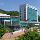 2024년 하반기 평생학습관 정규강좌 이미지