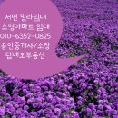서면롯데공인중개사사무소 | 서면 빌라임대. 초 역세권 롯데 뒤 서면 소형아파트 임대. 탑네오부동산