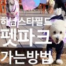 스타펫 | &#39;미사 애견운동장&#39;에서 &#39;하남 스타필드 펫파크&#39; 가는 법/방문후기