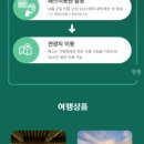 여행사랑투어