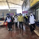 진도읍 조금시장 이미지