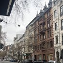 버프독 | 입독 후 일주일 일상