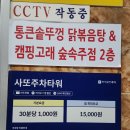 별망성지 | 실내캠핑 데이트 성지 안산중앙역맛집 이색데이트 추천 중앙동 캠핑고래 다이닝 후기