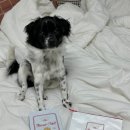 테일웨거 이미지