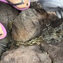 사량도펜션 1 이미지