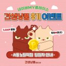 견생냥품 서울 노원역점 이미지