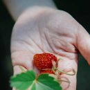 알베로하우스 이미지