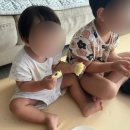 송화잔기지순천광양점