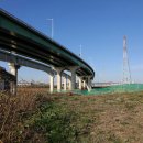 성암동패총 이미지