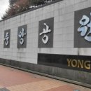 용인중앙공원_M 이미지