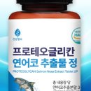 연어정