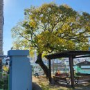 산산파크빌 이미지