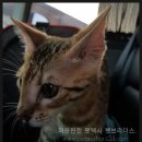 임실정마트 이미지