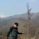 민들레2농장 이미지