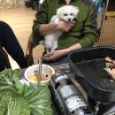 다인한약국 | 경희 소명한약국 다이어트 2단계 후기 feat. 몸무게