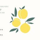 거제농산물수출영농조합법인 | ‘거제시축구협회’와 ‘거제농산물수출영농조합법인 햇살긴’ MOU 체결