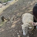 더스테이 강촌 이미지