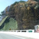 태백낚시 이미지