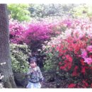 굿모닝민박2 이미지