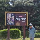 남산웰빙