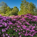메디팜종합약국 이미지