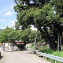 웅곡경로당 이미지