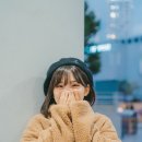 지스